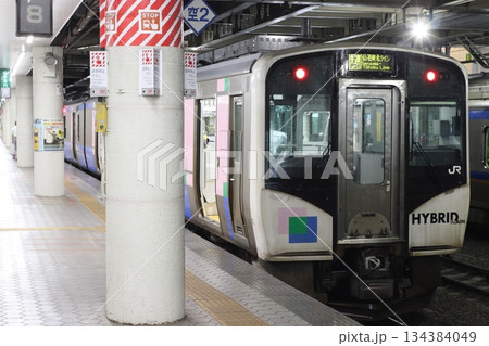 仙台駅に停車中の仙石東北ラインHB-E210系気動車（快速：仙台⇔石巻） 134384049