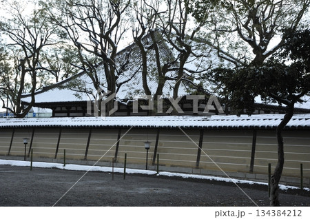 雪の積もった東寺 　灌頂院 134384212