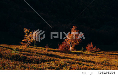 Amazing awe landscape. Majestic view of Carpathian mountains, autumn season Amazing awe landscape. Majestic view of Carpathian mountains, autumn season 134384334