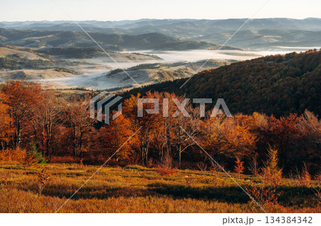 Fog is far away. Majestic view of Carpathian mountains, autumn season Fog is far away. Majestic view of Carpathian mountains, autumn season 134384342