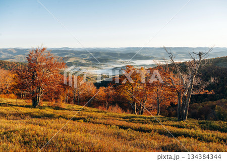 Fog is far away. Majestic view of Carpathian mountains, autumn season Fog is far away. Majestic view of Carpathian mountains, autumn season 134384344