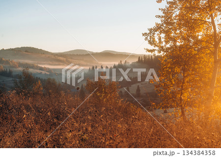 Illuminated by sunlight. Majestic view of Carpathian mountains, autumn season 134384358