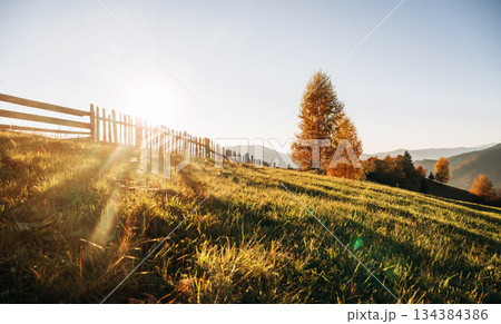 Day sunlight. Majestic view of Carpathian mountains, autumn season 134384386
