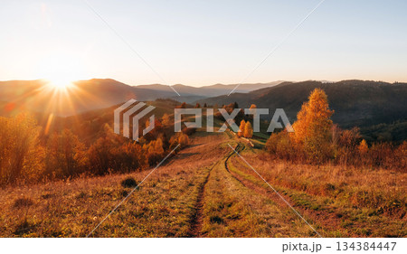 Sun is over horizon. Majestic view of Carpathian mountains, autumn season 134384447