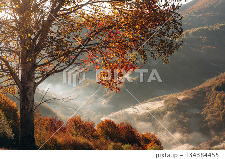 The hill. Majestic view of Carpathian mountains, autumn season 134384455