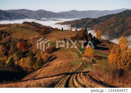 Raw wild nature. Majestic view of Carpathian mountains, autumn season 134384457