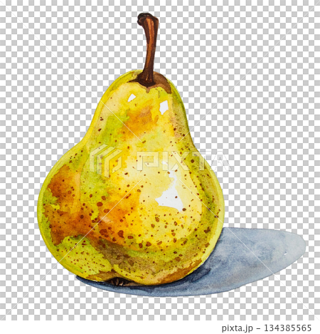 梨子水彩插圖 134385565