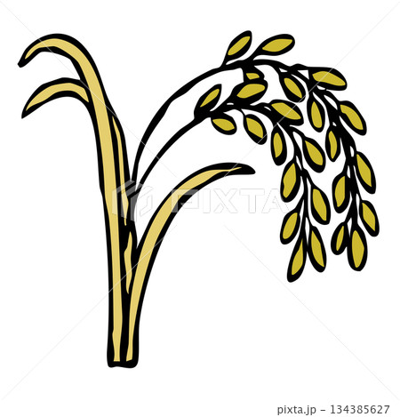 食材のイラスト_稲穂 食材のイラスト_稲穂 134385627