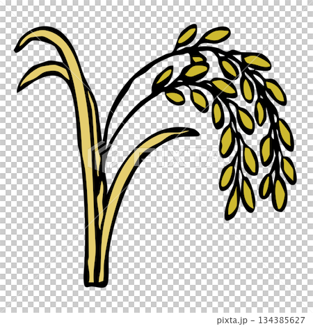 食材のイラスト_稲穂 食材のイラスト_稲穂 134385627