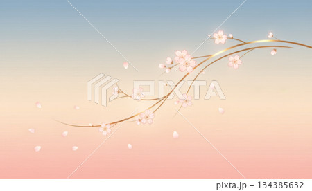桜の花とゴールドの枝 134385632