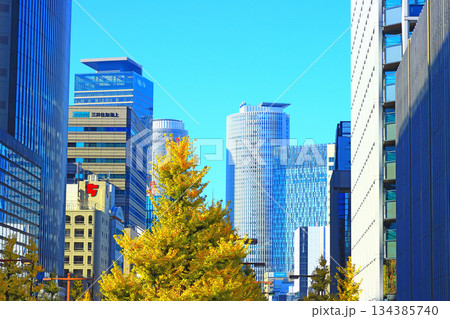愛知県名古屋市、桜通銀杏並木と名古屋駅前超高層ビル郡の風景 134385740