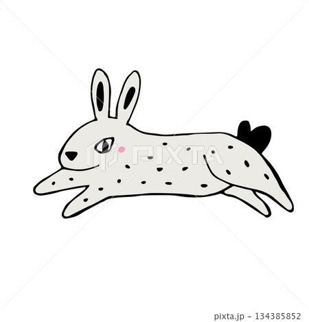 Cute Hand drawn Rabbit Illustration. Perfect...のイラスト素材 [134385852] - PIXTA