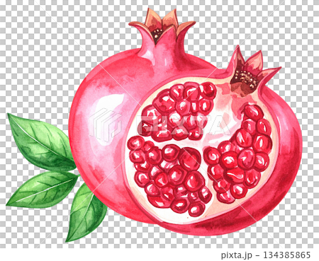 石榴水彩畫 134385865