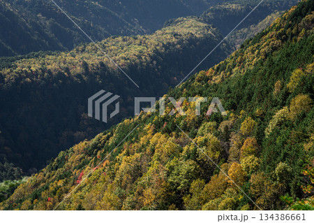 紅葉した雄大な御嶽山と溶岩流 紅葉した雄大な御嶽山と溶岩流 134386661