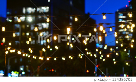 In night the foreground abstract blurred garlands. In the background modern glass office building. Rows of lit windows out the architectural grid of a modern facade. 134386703