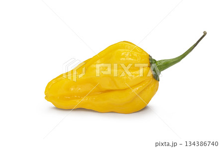Yellow habanero chili pepper on white background Yellow habanero chili pepper on white background 134386740