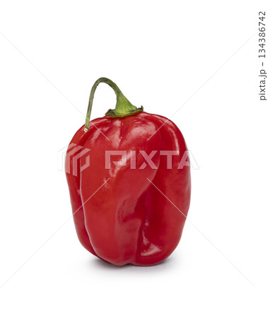 Pepper on white background Pepper on white background 134386742