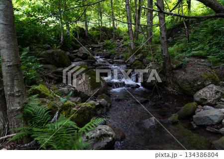A small river in the forest between the rocks, Georgia 134386804