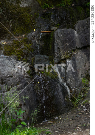 Mountain drinking spring flows, Georgia Mountain drinking spring flows, Georgia 134386806