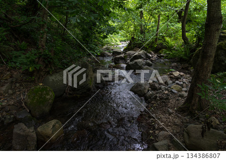 A small river in the forest between the stones, Georgia 134386807