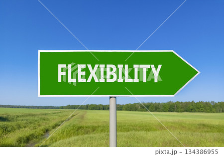 Flexibility symbol. Concept word Flexibility on beautiful green road sign. Beautiful blue sky green grass and forest peaceful nature background. Business flexibility concept. Copy space. Flexibility symbol. Concept word Flexibility on beautiful green road sign. Beautiful blue sky green grass and forest peaceful nature background. Business flexibility concept. Copy space. 134386955