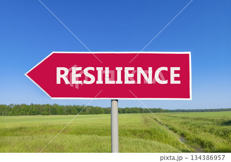 Resilience symbol. Concept word Resilience on beautiful red road sign. Beautiful blue sky green grass and forest peaceful nature background. Business resilience concept. Copy space. Resilience symbol. Concept word Resilience on beautiful red road sign. Beautiful blue sky green grass and forest peaceful nature background. Business resilience concept. Copy space. 134386957