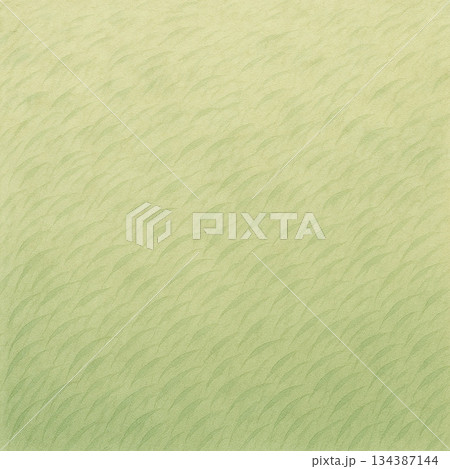 草原シリーズ：俯瞰で見た草原の風景 134387144