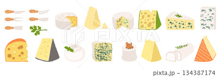 Cartoon style Cheese illustration hand drawn texture different cheese Brie Camembert vector design 134387174