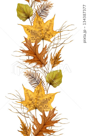Seamless watercolor vertical border of autumn leaves and grass on a white background. Hand-painted botanical style, ideal for stationery, invitations, packaging, and fall-themed designs Seamless watercolor vertical border of autumn leaves and grass on a white background. Hand-painted botanical style, ideal for stationery, invitations, packaging, and fall-themed designs 134387377