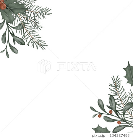 Square frame with hand drawn illustration of green branch of fir tree and holly with red berry. Postcard for New year or Christmas design in muted tones 134387495