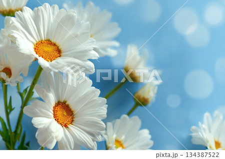 Abstract 3d render platform and mockup natural background, Stone podium on the grass field backdrop meadow mountain for product stand display, advertising or etc 134387522