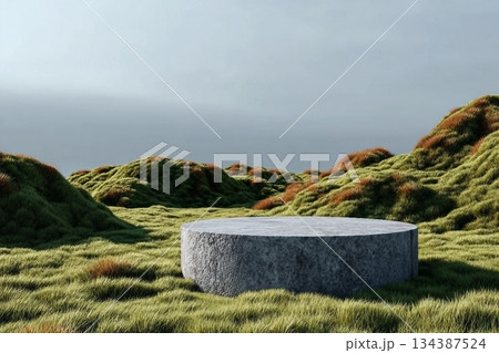 Abstract 3d render platform and mockup natural background, Stone podium on the grass field backdrop meadow mountain for product stand display, advertising or etc Abstract 3d render platform and mockup natural background, Stone podium on the grass field backdrop meadow mountain for product stand display, advertising or etc 134387524
