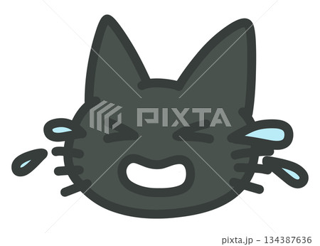 号泣している黒猫のイラスト 号泣している黒猫のイラスト 134387636