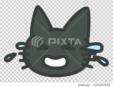 号泣している黒猫のイラスト 号泣している黒猫のイラスト 134387636