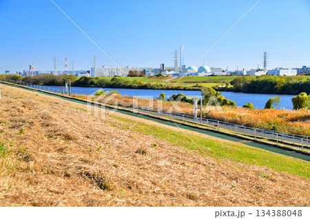 笹目橋／荒川(埼玉県戸田市側)より東京都板橋区新河岸方面を望む(東京都板橋区)【2025.11】 134388048