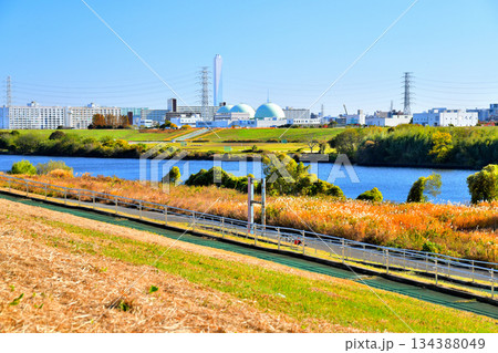 笹目橋／荒川(埼玉県戸田市側)より東京都板橋区新河岸方面を望む(東京都板橋区)【2025.11】 134388049