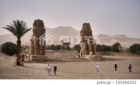 Colossi of Memnon in Luxor Desert Landscape Colossi of Memnon in Luxor Desert Landscape 134388103