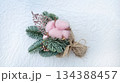 pine cones on a white background 134388457