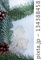 pine cones on snow 134388458