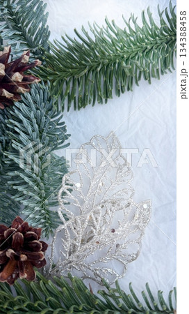 pine cones on snow pine cones on snow 134388458