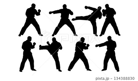 Krav Maga Self-Defense Scenario Silhouettes 134388830
