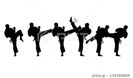 Powerful Roundhouse Kick Silhouette Set Powerful Roundhouse Kick Silhouette Set 134388909