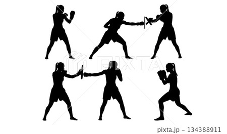 Female Martial Artist Defensive Blocks Silhouettes Female Martial Artist Defensive Blocks Silhouettes 134388911