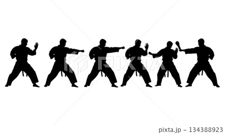 Karate Low Block (Gedan Barai) Silhouettes Karate Low Block (Gedan Barai) Silhouettes 134388923