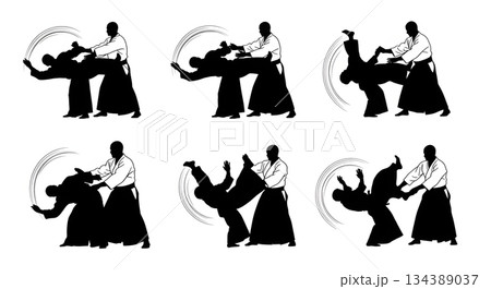 Aikido Redirection of Force Silhouettes 134389037
