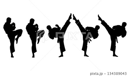Crescent Kick Martial Arts Silhouettes 134389043