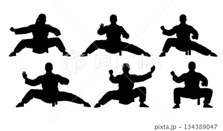 Kung Fu Snake Stance Silhouettes Kung Fu Snake Stance Silhouettes 134389047
