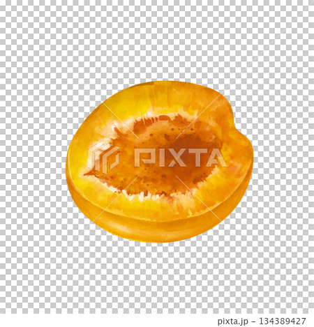 Half an apricot without a stone on an isolated background. Watercolor illustration in natural colors. Realistic clipart with the image of half a juicy fruit for grocery or cosmetic lines. Half an apricot without a stone on an isolated background. Watercolor illustration in natural colors. Realistic clipart with the image of half a juicy fruit for grocery or cosmetic lines. 134389427