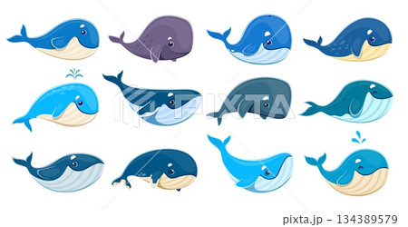 Cartoon whale characters, vector sea water animals set. Isolated cute blue, humpback and sperm whale personages of giant underwater mammal animals with happy smiles and water fountains 134389579
