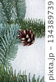 pine cones on snow 134389739